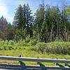 Mobile Home for Sale: 3 Bed 2 Bath 1997 Mobile Home