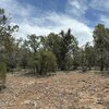 Photo of Mobile Home Lot