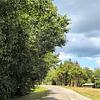 Mobile Home for Sale: 2010 Mobile Home