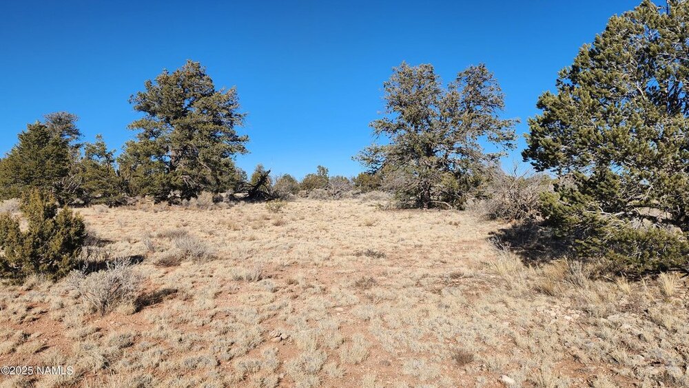 Photo of Mobile Home Lot