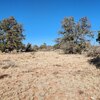 Photo of Mobile Home Lot