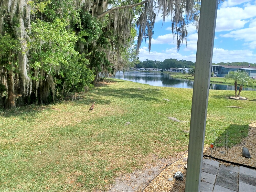 Cypress Lakes Village