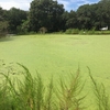 Photo of Mobile Home Park