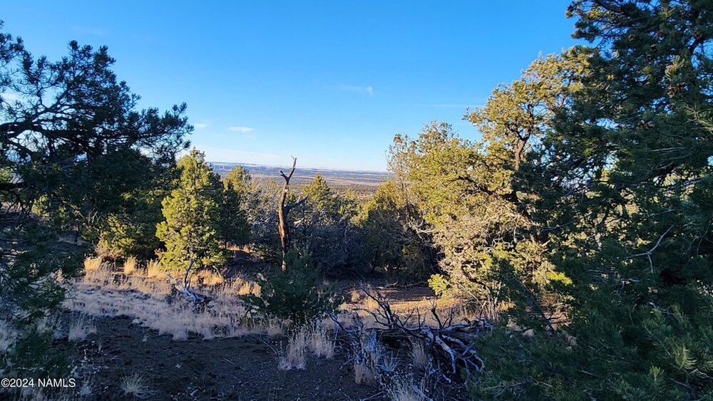 Photo of Mobile Home Lot