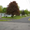Mobile Home Park: Briarwood MHP, Sodus, NY