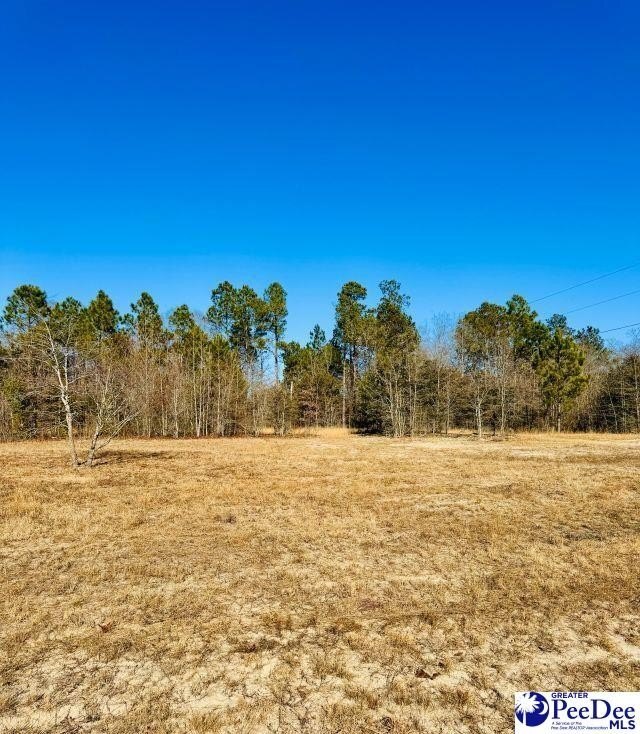 Photo of Mobile Home Lot