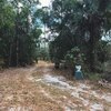 Mobile Home for Sale: Manufactured Home, Ranch,One Story,Manufactured Home - Naples, FL, Naples, FL