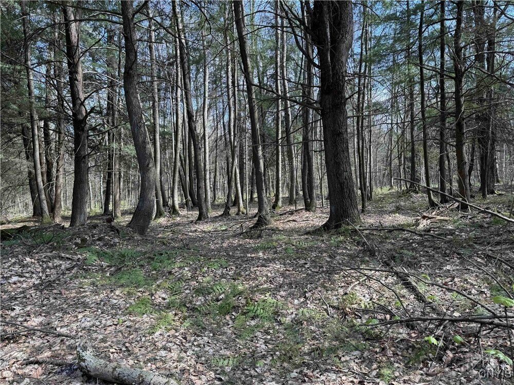 Photo of Mobile Home Lot