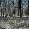 Photo of Mobile Home Lot