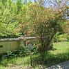 Mobile Home for Sale: 1977 Mobile Home
