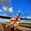 6898/cessna-172h-skyhawk-1967-flightmarket-id-6898-54492.webp
