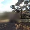 Mobile Home for Sale: 4 Bed 3 Bath 1978 Mobile Home