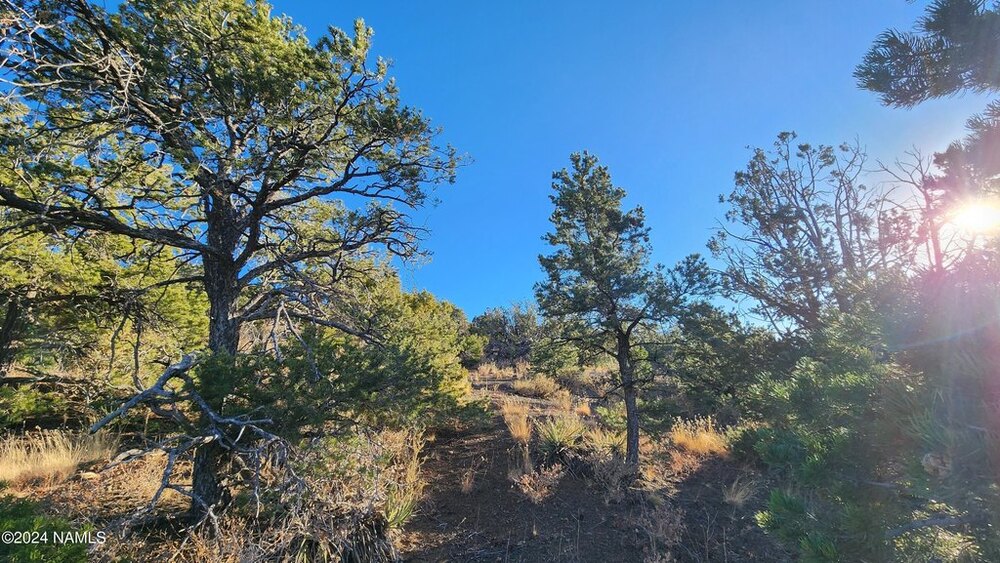 Photo of Mobile Home Lot