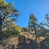 Photo of Mobile Home Lot