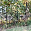 Mobile Home for Sale: 3 Bed 2 Bath 2000 Mobile Home