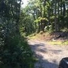Photo of Mobile Home Lot