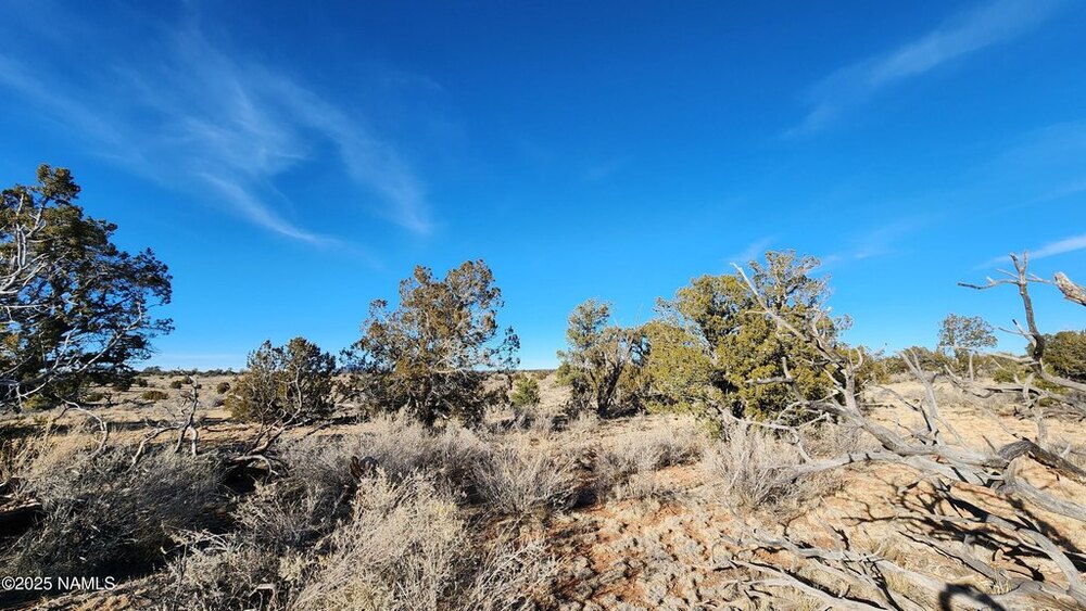 Photo of Mobile Home Lot