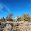 Photo of Mobile Home Lot