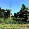 Mobile Home for Sale: 3 Bed 2 Bath 2008 Mobile Home