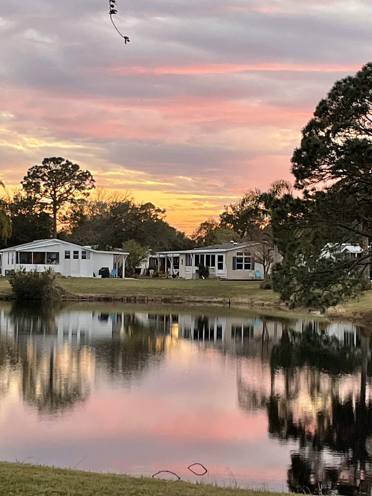 Bear Creek Village