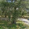 Mobile Home for Sale: 1993 Mobile Home