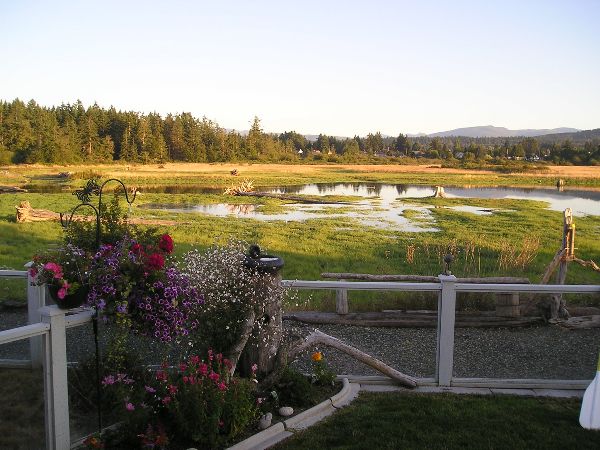 Photo of RV Lot