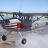 Aircraft for Sale: 1961 Cessna L-19 Bird Dog