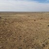 Photo of Mobile Home Lot
