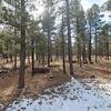 Mobile Home for Sale: 1982 Mobile Home