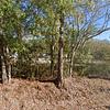 Mobile Home for Sale: 3 Bed 2 Bath 1998 Mobile Home