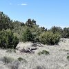 Photo of Mobile Home Lot