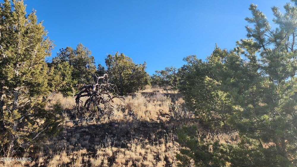 Photo of Mobile Home Lot