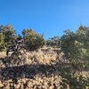 Photo of Mobile Home Lot