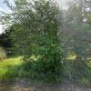 Mobile Home for Sale: 2 Bed 1 Bath 1973 Mobile Home
