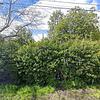Mobile Home for Sale: 2 Bed 1 Bath 1972 Mobile Home