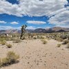 Photo of Mobile Home Lot