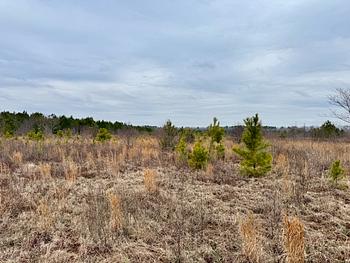 Photo of 4.5 ACRES OF FLAT LAND! Great Area, Ready to Develop!