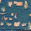 Mobile Home for Sale: 2019 Mobile Home