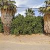 Mobile Home for Sale: Mobile Home
