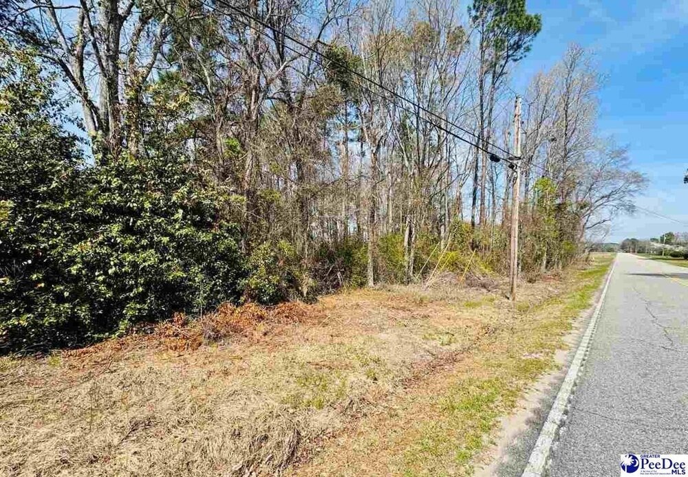 Photo of Mobile Home Lot