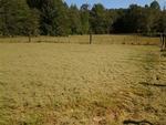 Photo of Mobile Home Lot