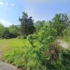 Mobile Home for Sale: 5 Bed 3 Bath 1999 Mobile Home