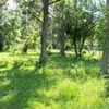 Photo of Mobile Home Lot