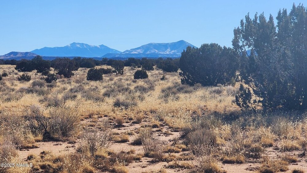 Photo of Mobile Home Lot
