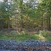 Mobile Home for Sale: 3 Bed 2 Bath 2022 Mobile Home