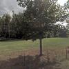 Mobile Home for Sale: 3 Bed 2 Bath 2016 Mobile Home
