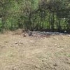 Photo of Mobile Home Lot
