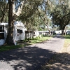 RV Park for Sale: 55+ RV Resort North Tampa Bay #420, North Central Florida, FL