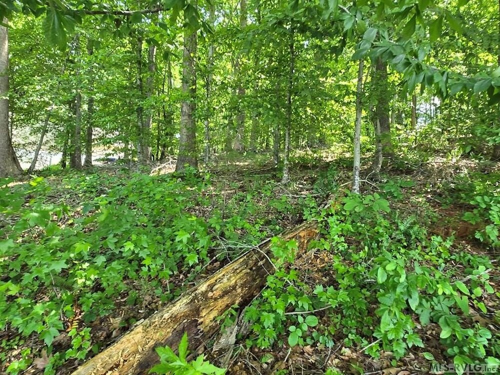Photo of Mobile Home Lot