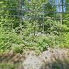 Mobile Home for Sale: 3 Bed 2 Bath 1999 Mobile Home